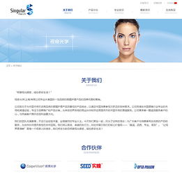 视奇光学 专业眼睛护理产品网站定制，打造您的线上品牌视窗